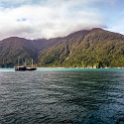 NZL STL MilfordSound 2018MAY03 022 : - DATE, - PLACES, - TRIPS, 10's, 2018, 2018 - Kiwi Kruisin, Day, May, Milford Sound, Month, New Zealand, Oceania, Southland, Thursday, Year